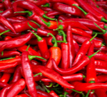 מחלה צרברווסקולרית - תמונת אווירה